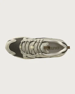 Baskets marron Wave Rider 10 Premium