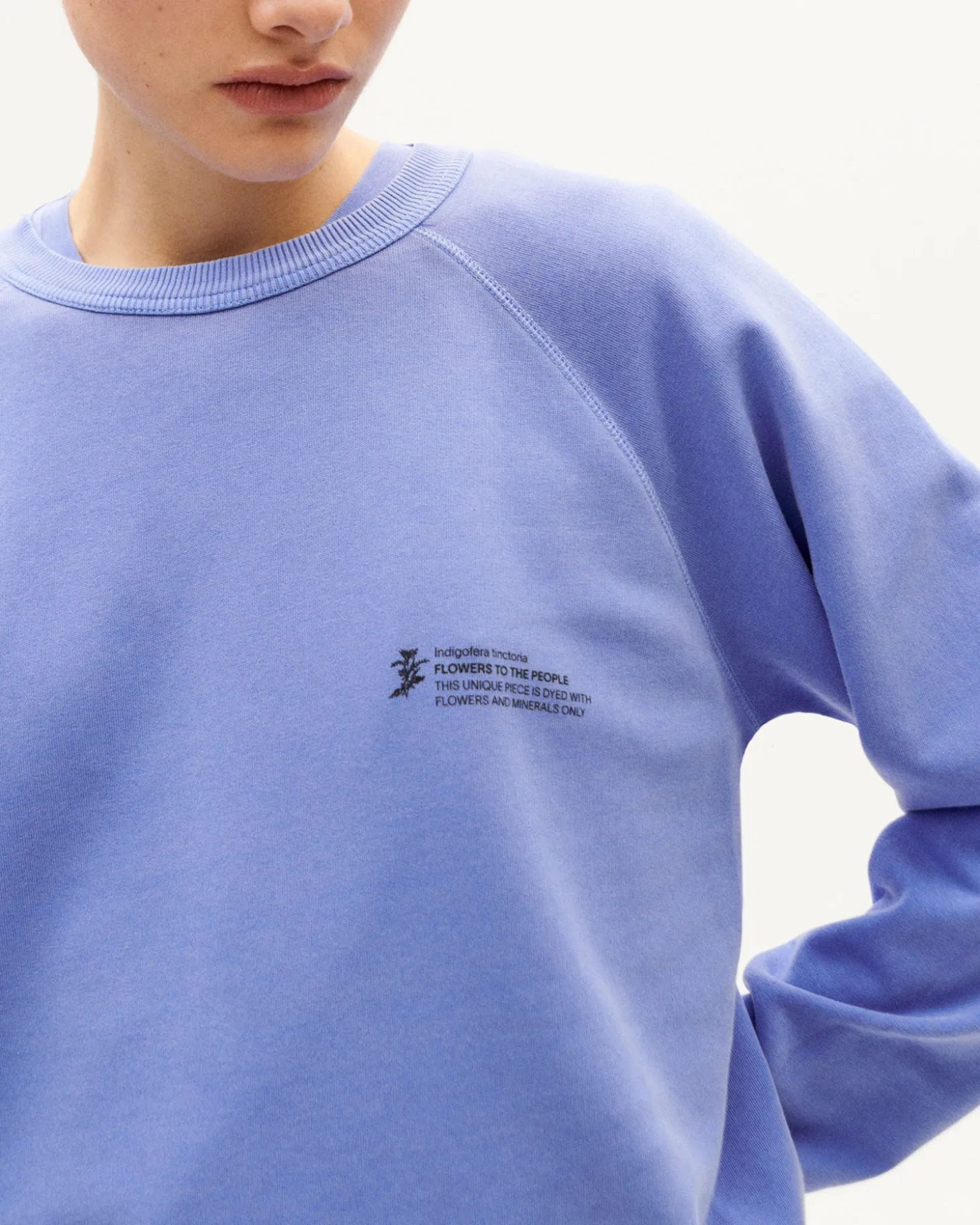 Sweat violet unisex teinture naturelle